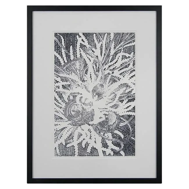 0180 (A+D) Dryandra White Online Hot Sale