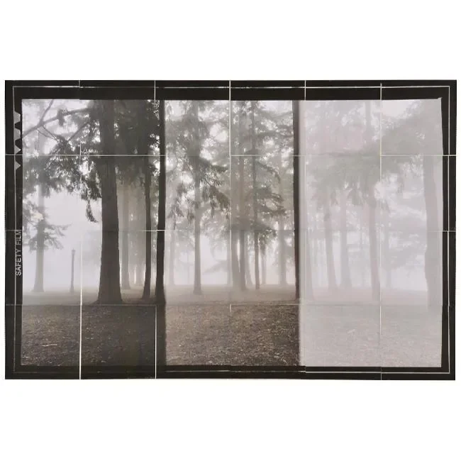 0691 (A+D) Black and White Landscape Test Strip w/ Trees (36″ x 24″)