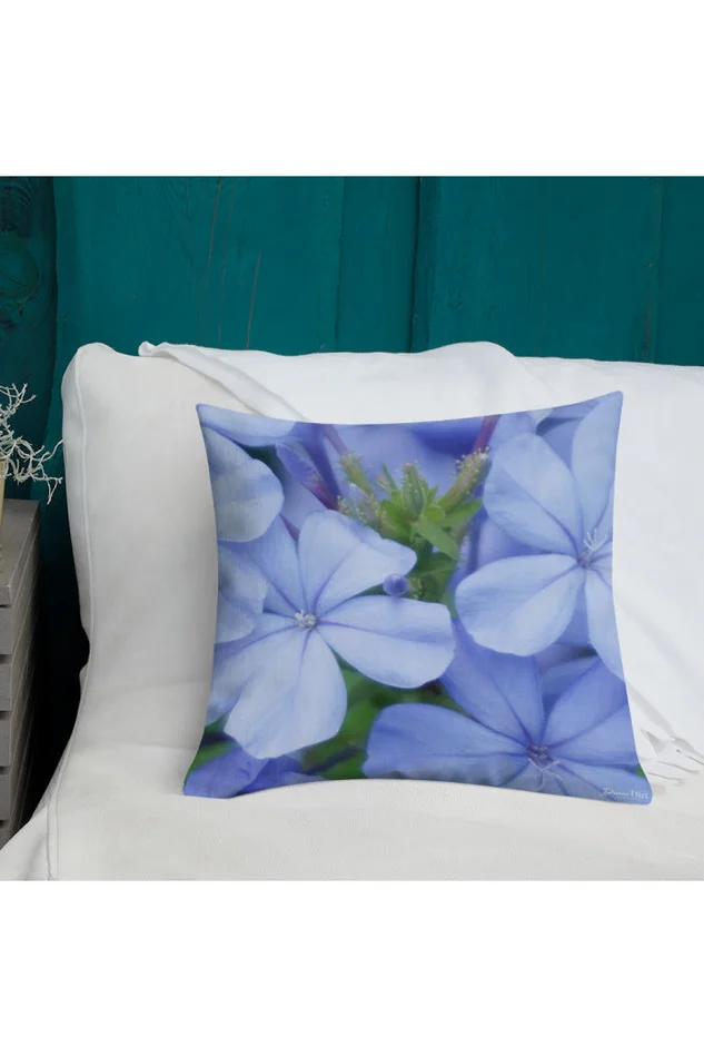 12 X 12 DIVINE DIRT PILLOWS-SQUARE