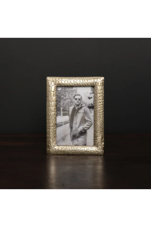 4X6 SIERRA MODERN CROC FRAME