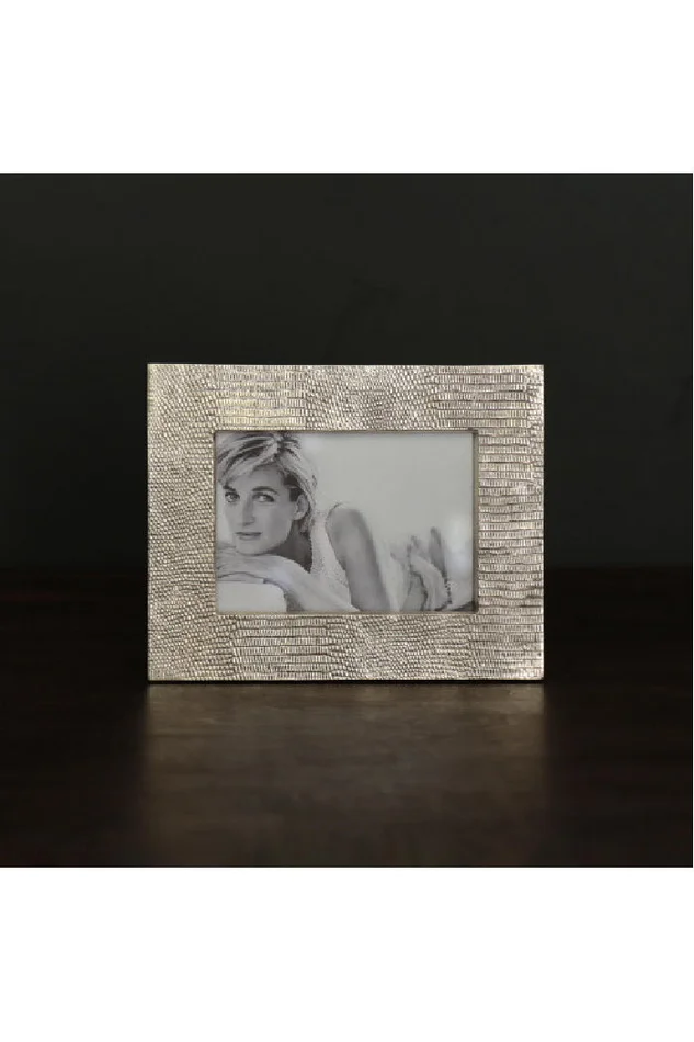 5 X 7 SIERRA MODERN PYTHON FRAME