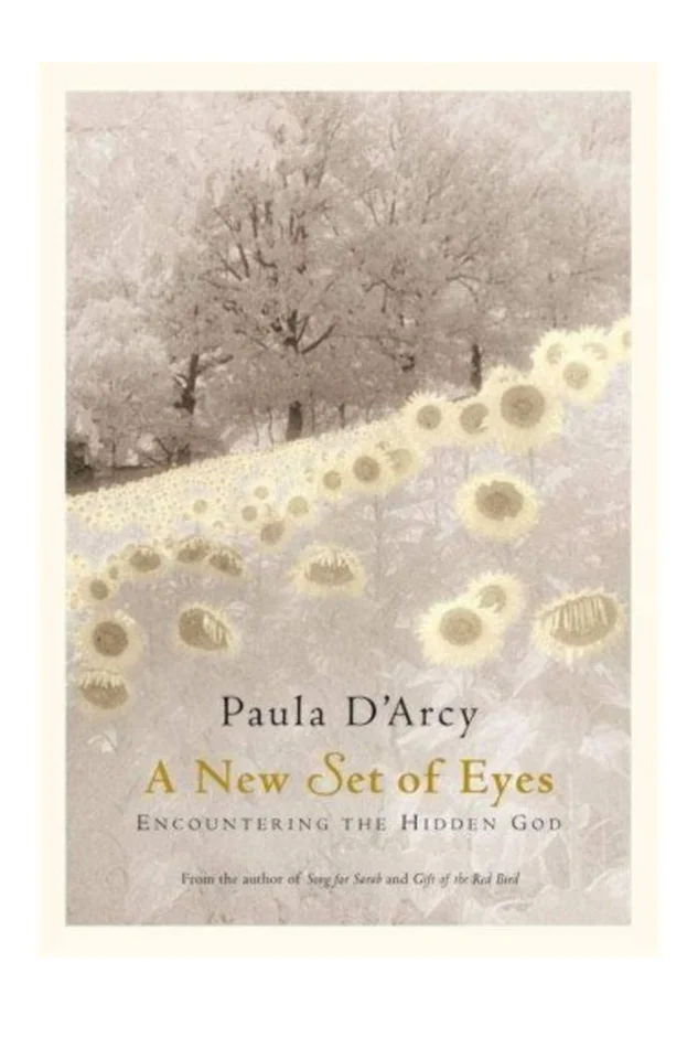 A NEW SET OF EYES BY PAULA D’ARCY