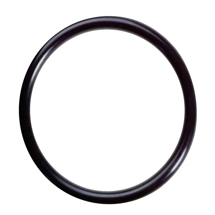 AXEON 4″ O-Ring PVC Membrane Housing