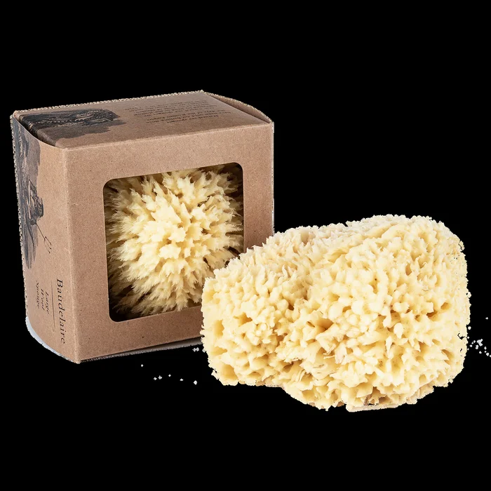 Baudelaire Wool Sea Sponge
