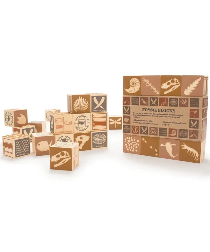 Blocks (Wood) – Fossil