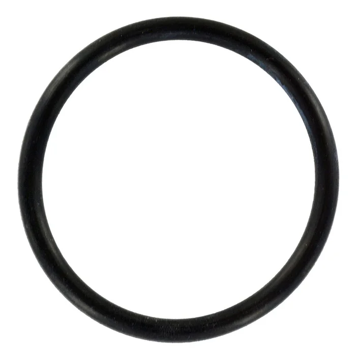 Coupler O-Ring for Watts Big Bubba Filter Housing BBH-150