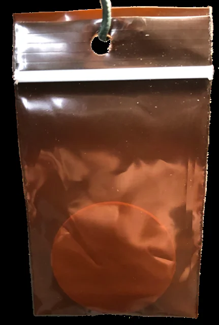 Engraver Beetle Acuminatus Lure