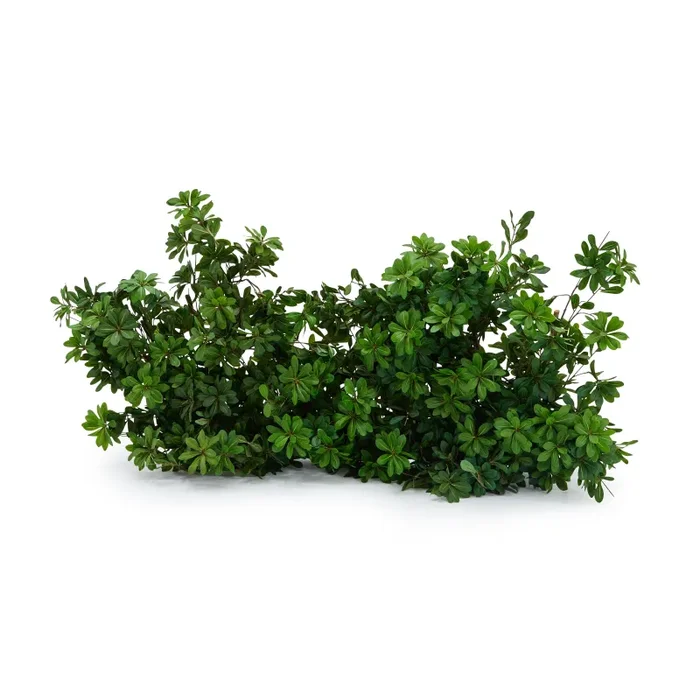 Faux Umbrella Tree Plant