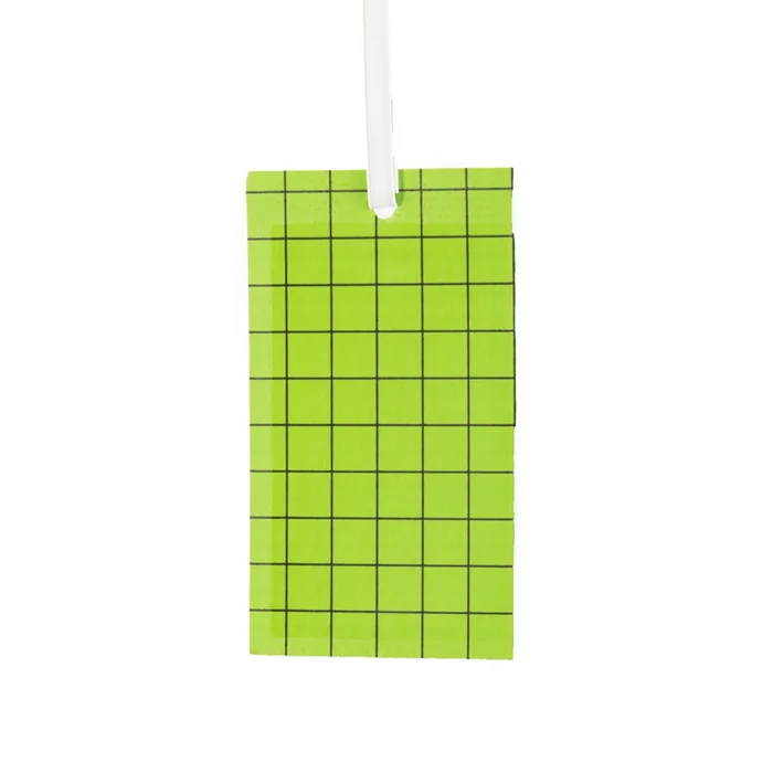 Green Sticky Card