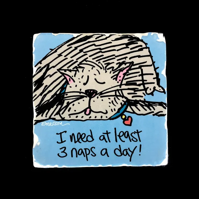 I Need At least 3 Naps… – Coaster Hot on Sale
