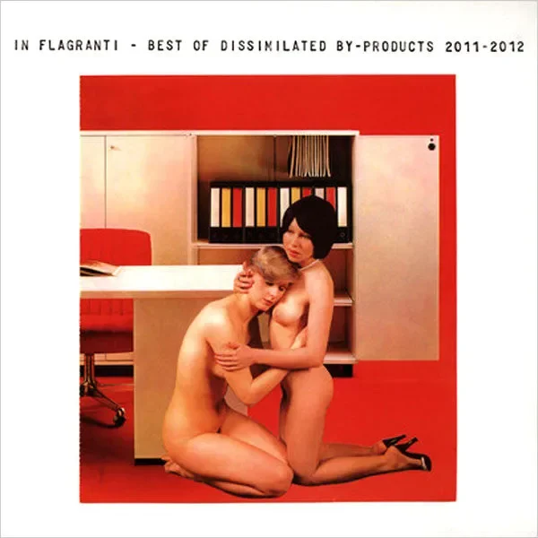 In Flagranti: Best of Dissimilated By-Products 2011-2012 LP