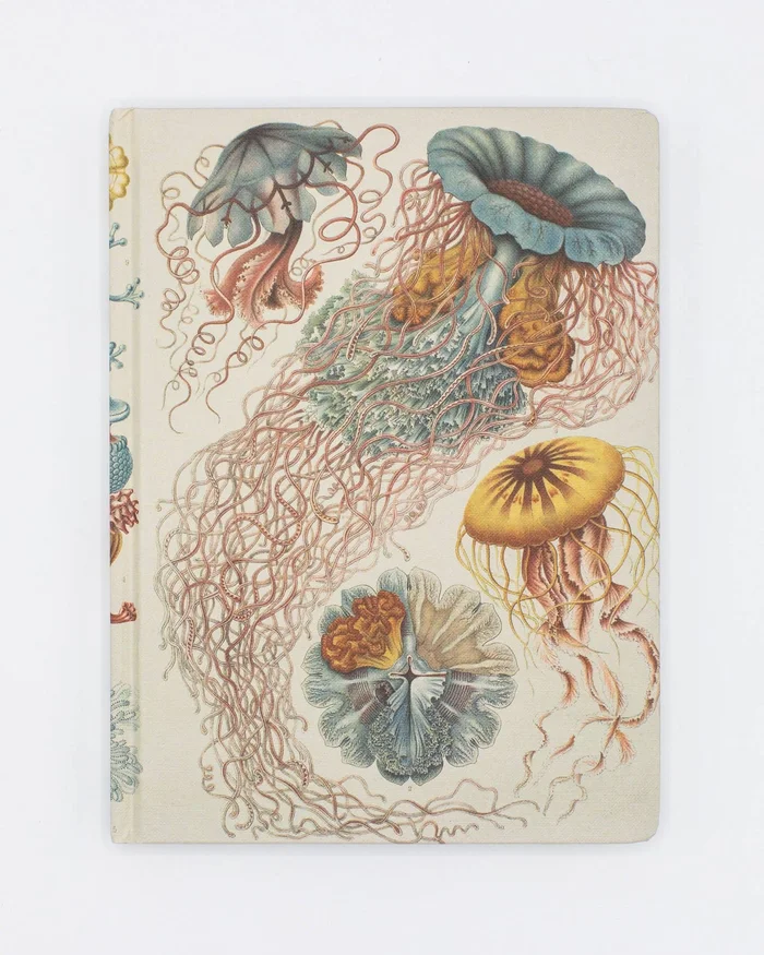 Journal (Hardcover) – Haeckel Jellyfish