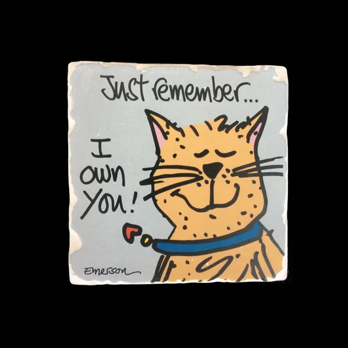 Just Remember…- Coaster