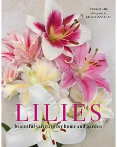 Lilies