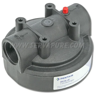 LIMITED QUANTITIES – NO REPLACEMENT – Pentek 154167, 1-1/2” In/Out, Black Cap w/ PR for Big Blue Housings
