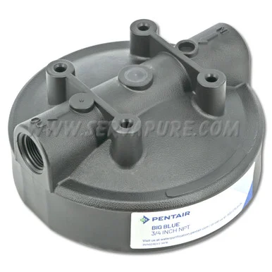 LIMITED QUANTITIES – NO REPLACEMENT – Pentek 154196, 3/4” Black HFPP Cap W/O PR for Big Blue Housing