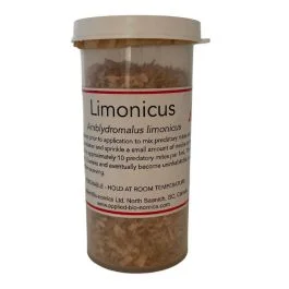 Limonicus – Amblydromalus limonicus