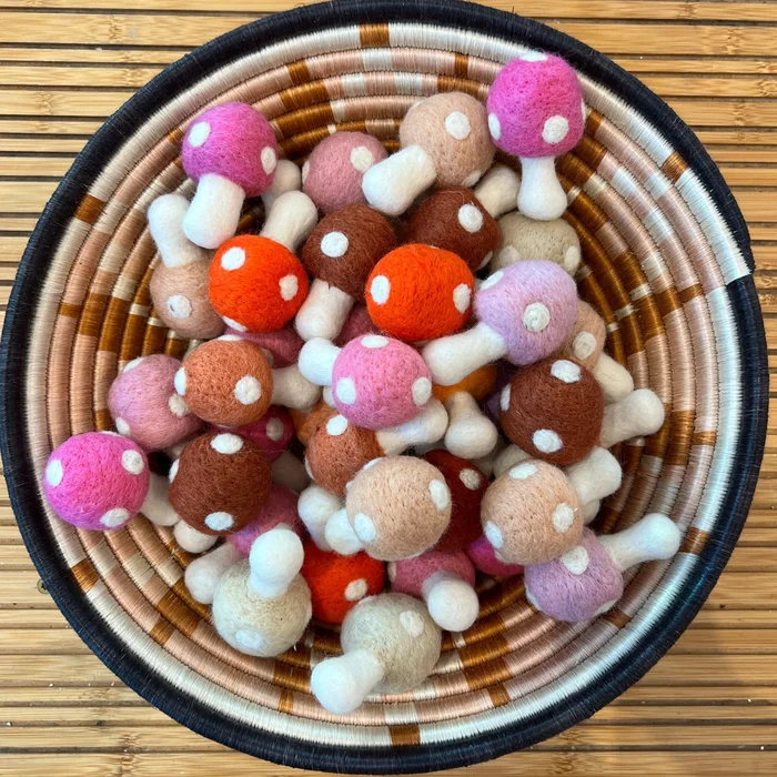 Mini Felted Mushrooms