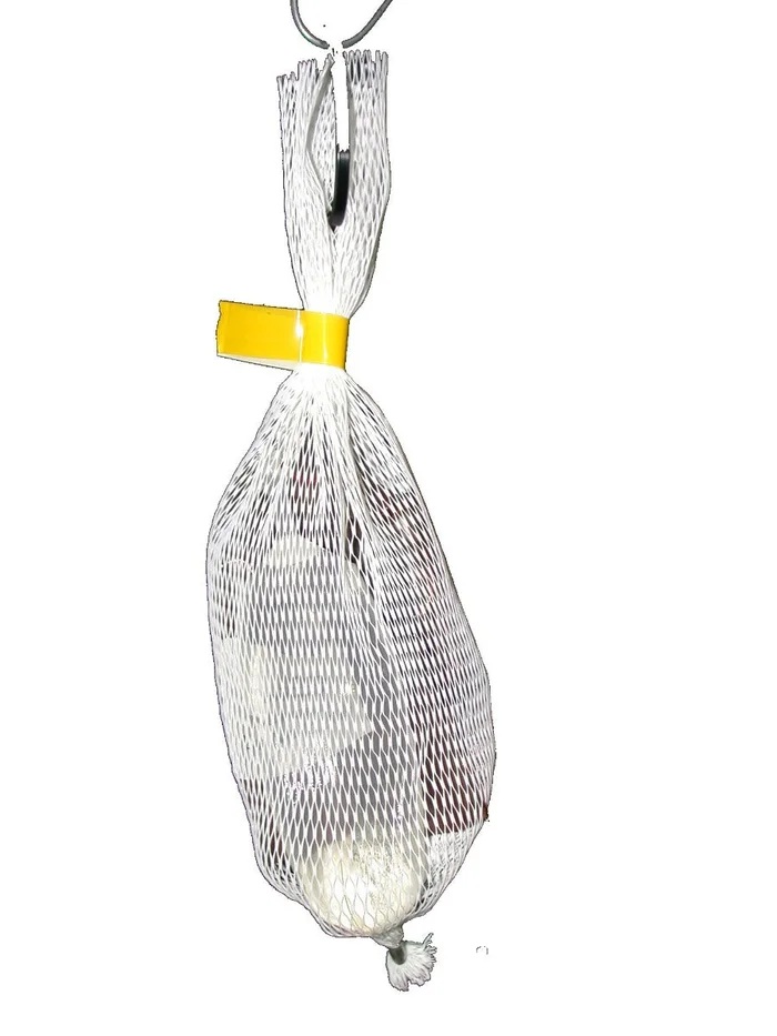 Mountain Pine Beetle Lure