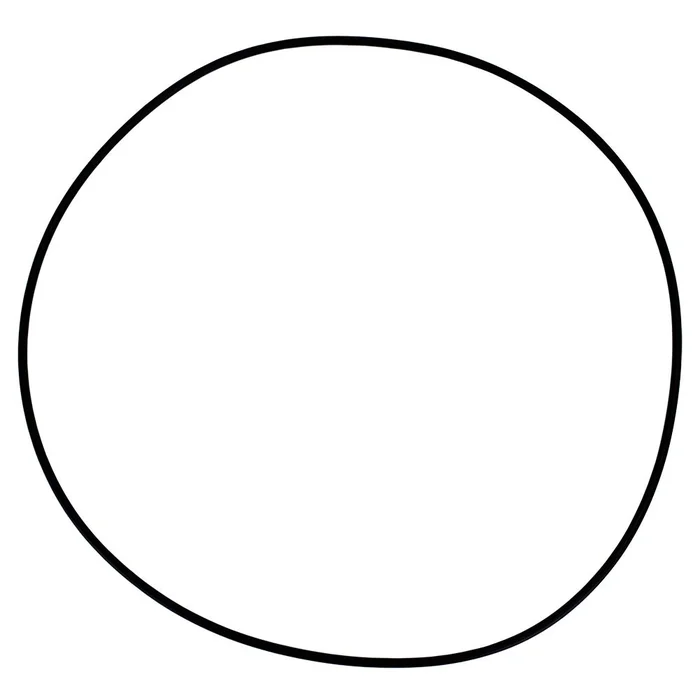 Neo-Pure Gasket for 12 Round Multi-Cartridge Housings with Swing Bolt Closure – Buna N