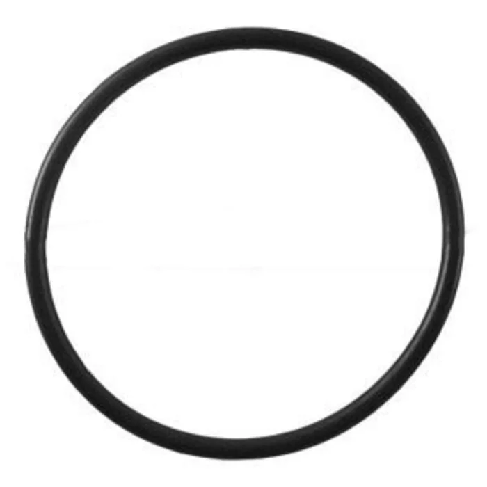 O-ring for Big Bubba BBH-150 Housing (EPDM)