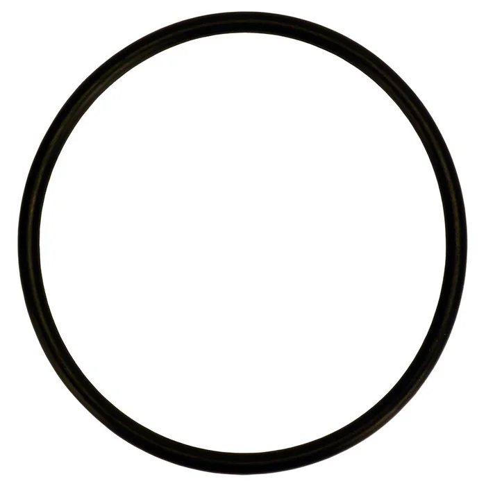 O-Ring for OmniFilter U25 & U27 Whole House Filter