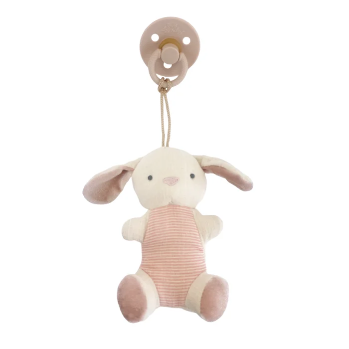 Pacifier (Natural Rubber) & Stuffed Animal – Bitzy Pal Bunny