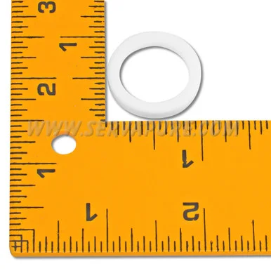 Pentek 143339 Head Nut Gasket for ST-1, ST-2 and ST-3 Stainless