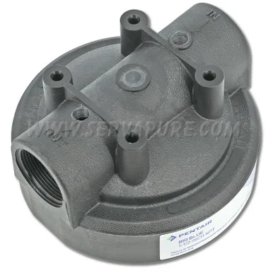 Pentek 154078-DT, 1-1/2” In/Out, Black Cap Double 1/4” Tap for Gauges for Big Blue Housing