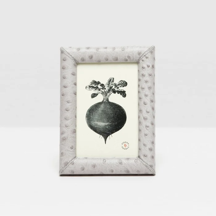 Pigeon And Poodle Witney 4*6 Light Gray Ostrich Frame