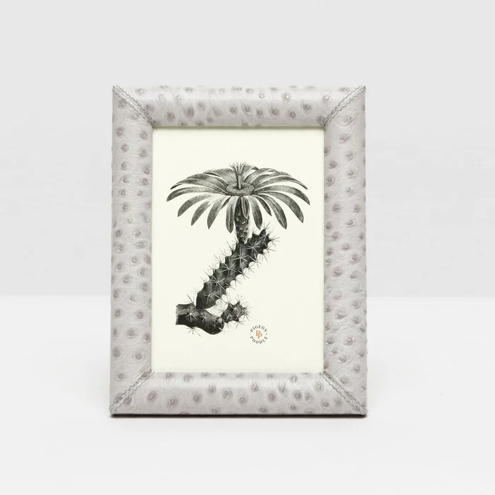 Pigeon And Poodle Witney 5*7 Light Gray Ostrich Frame