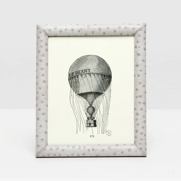 Pigeon And Poodle Witney 8*10 Light Gray Ostrich Frame