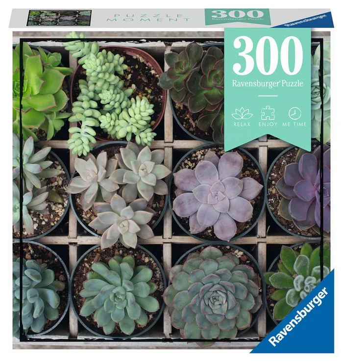 Puzzle – Green Succulents (300pc)