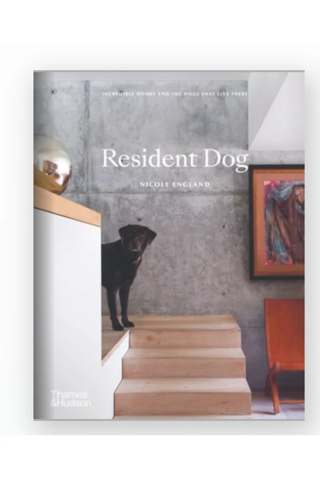 RESIDENT DOG (BOOK)
