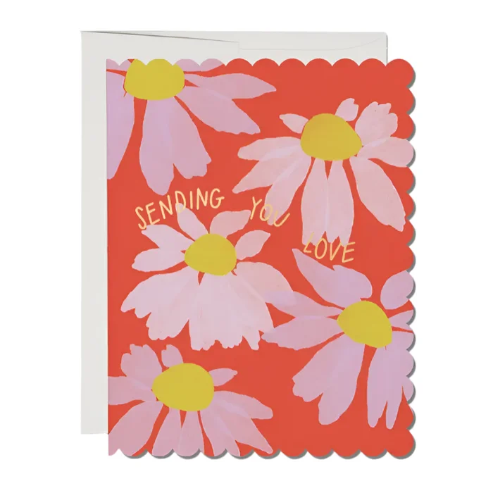 Scalloped Coneflower Sympathy Greeting Card