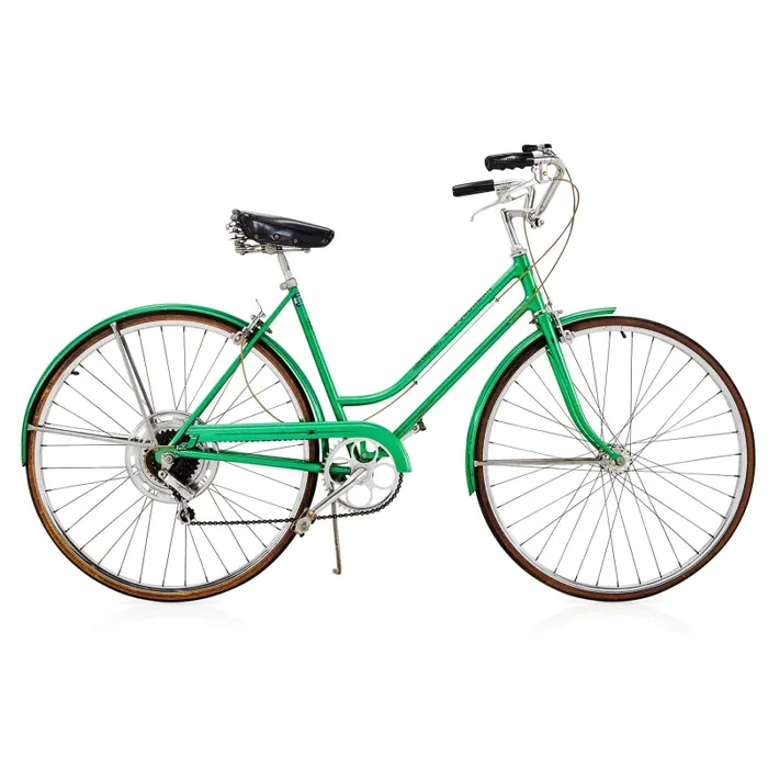 Schwinn “Suburban” Beach Cruiser – Green