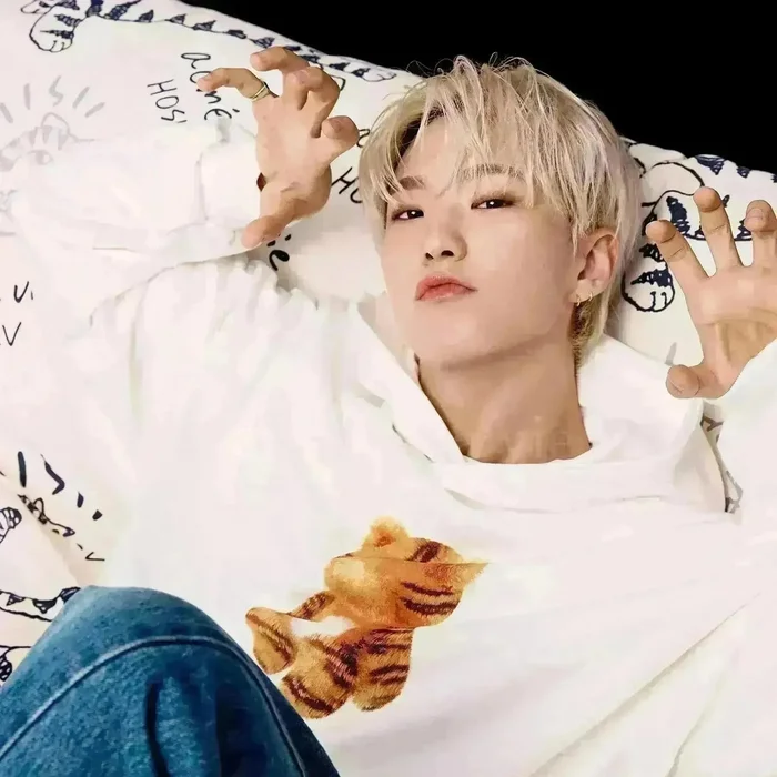 SEVENTEEN Hoshi X ADLV Collection
