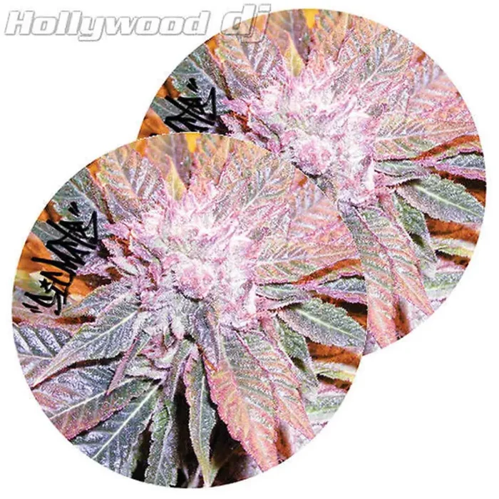 Sicmats DJ Turntable Slipmats ‘KUSH’ Sic Mats Slip Mat Set Scratch Pad Rare – Pair Online now