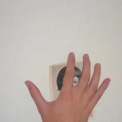 STRFKR: Astronaut / Little Lover Vinyl 7″ (Record Store Day)