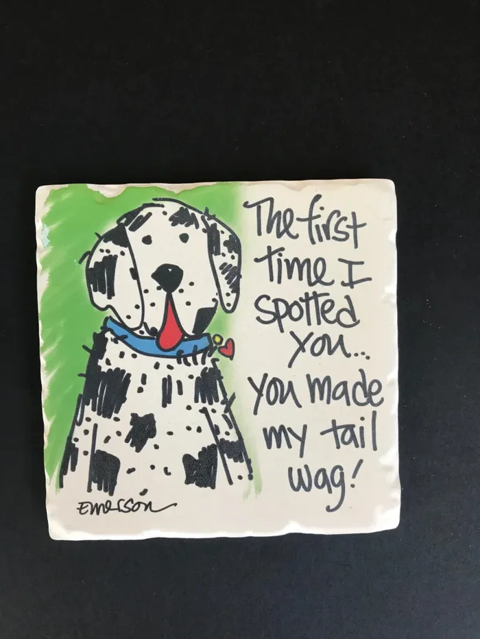 The First Time I Spotted… Coaster