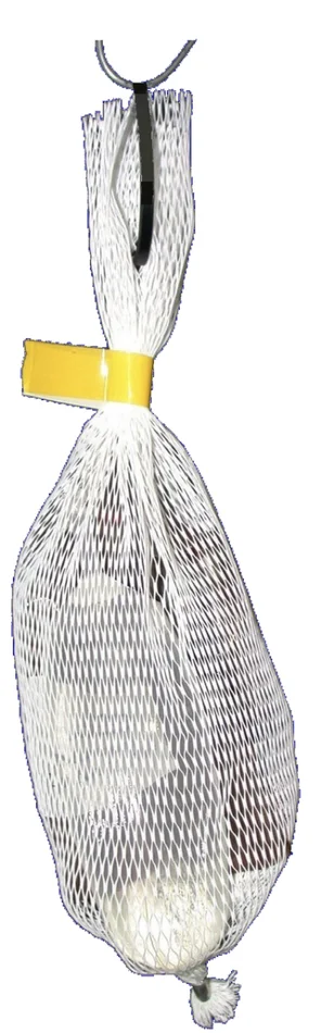 Western Balsam Bark Beetle Lure