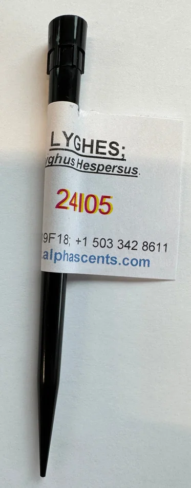 Western Tarnished Plant Bug