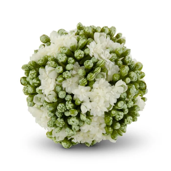 White 4″ Kalanchoe Ball