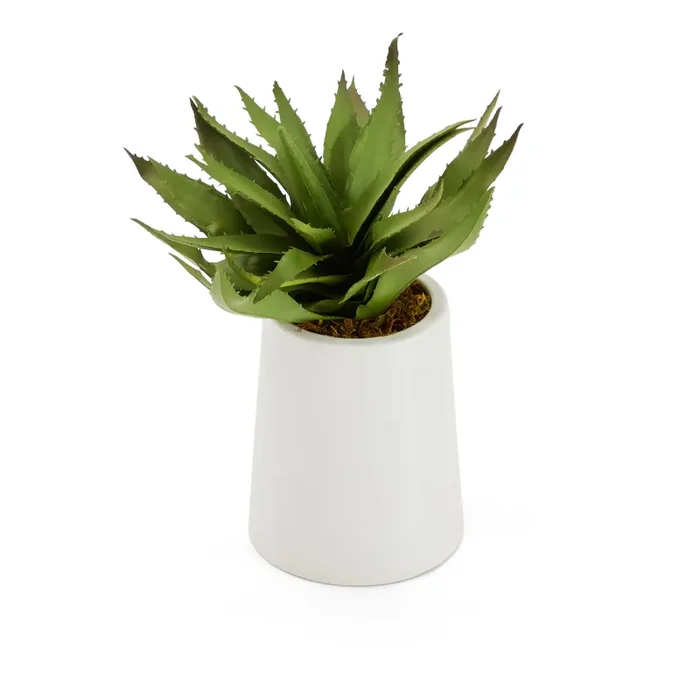 White Tapered Pot with Faux Aloe Plant Fashion