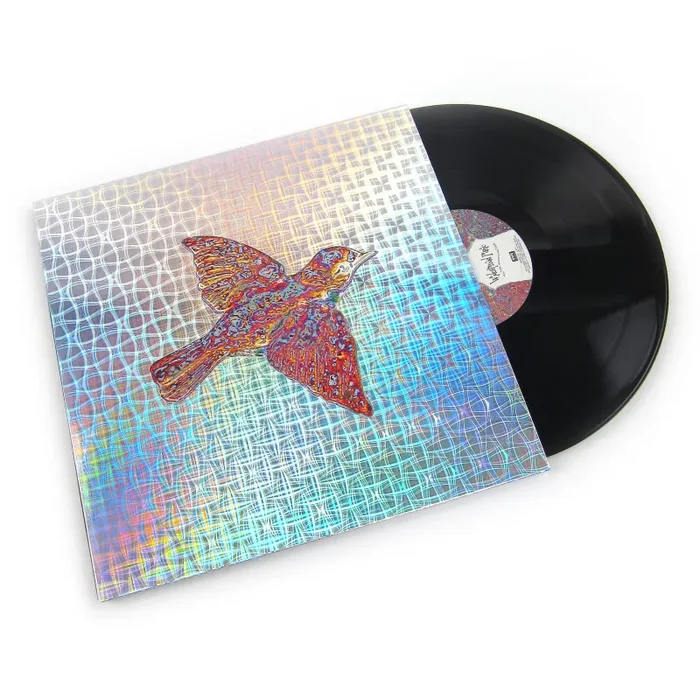 Widespread Panic: ‘Til The Medicine Takes Vinyl 2LP