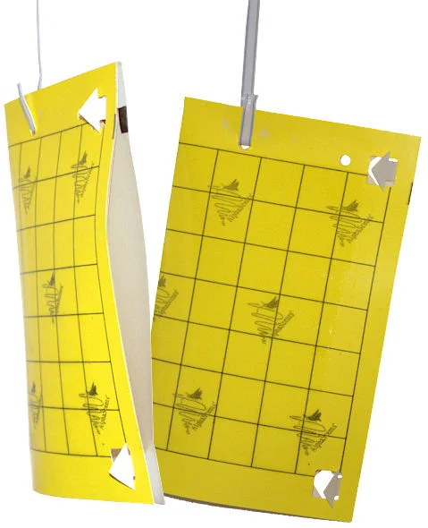 Yellow Card – Folding, 11 x 9 in (5.5 x 9 in after assembly)