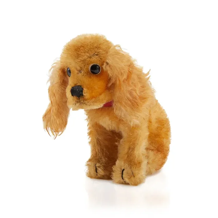 Yellow Toy Cocker Spaniel (A+D)